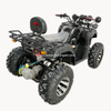 Electric ATV 