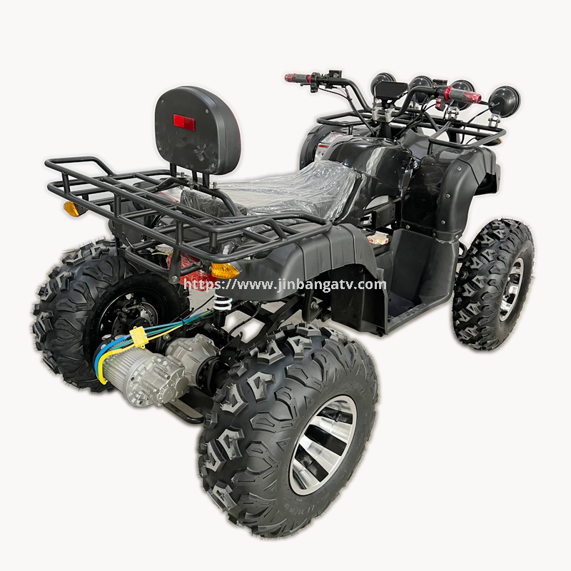 Electric ATV 