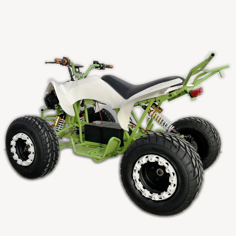 Electric ATV 