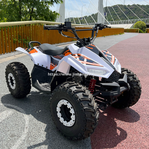 110CC ATV