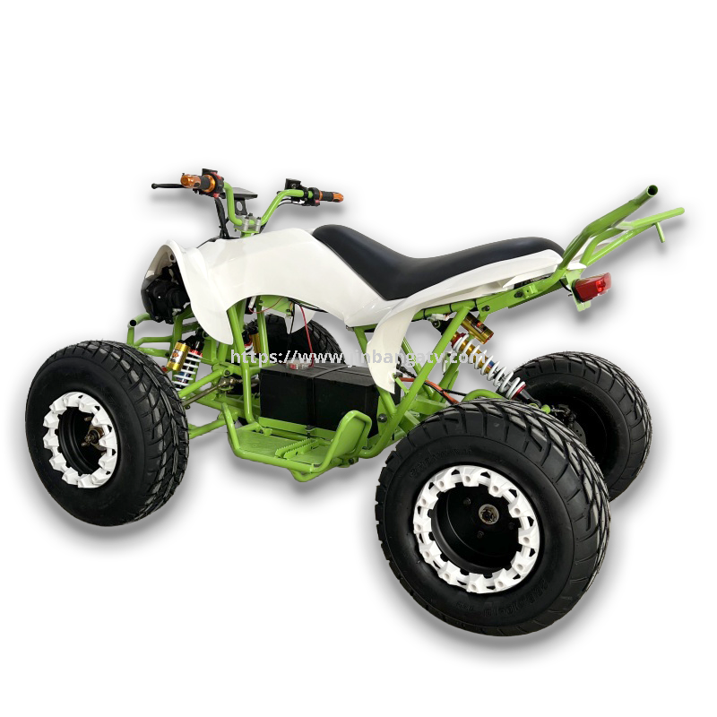 Electric ATV 