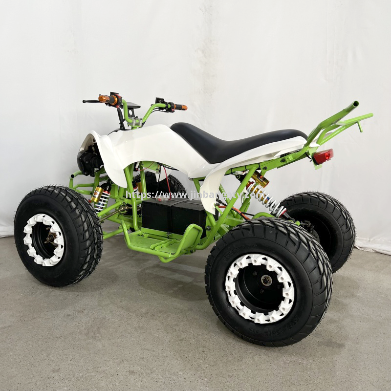 Electric ATV 