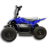 Electric ATV 