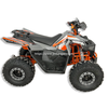 Electric ATV