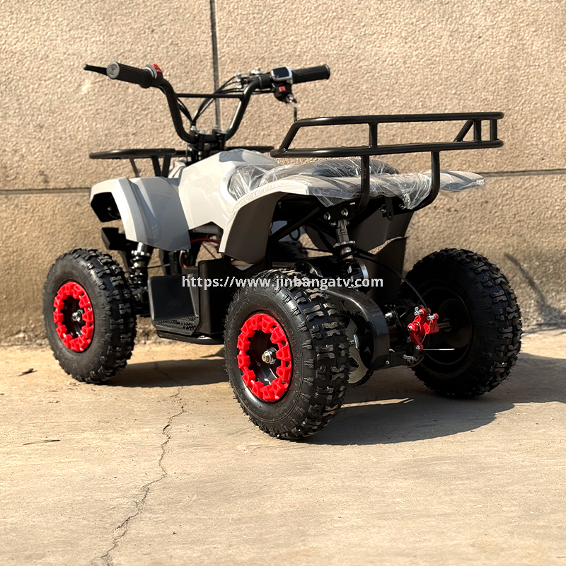 Electric ATV 