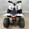 Electric ATV