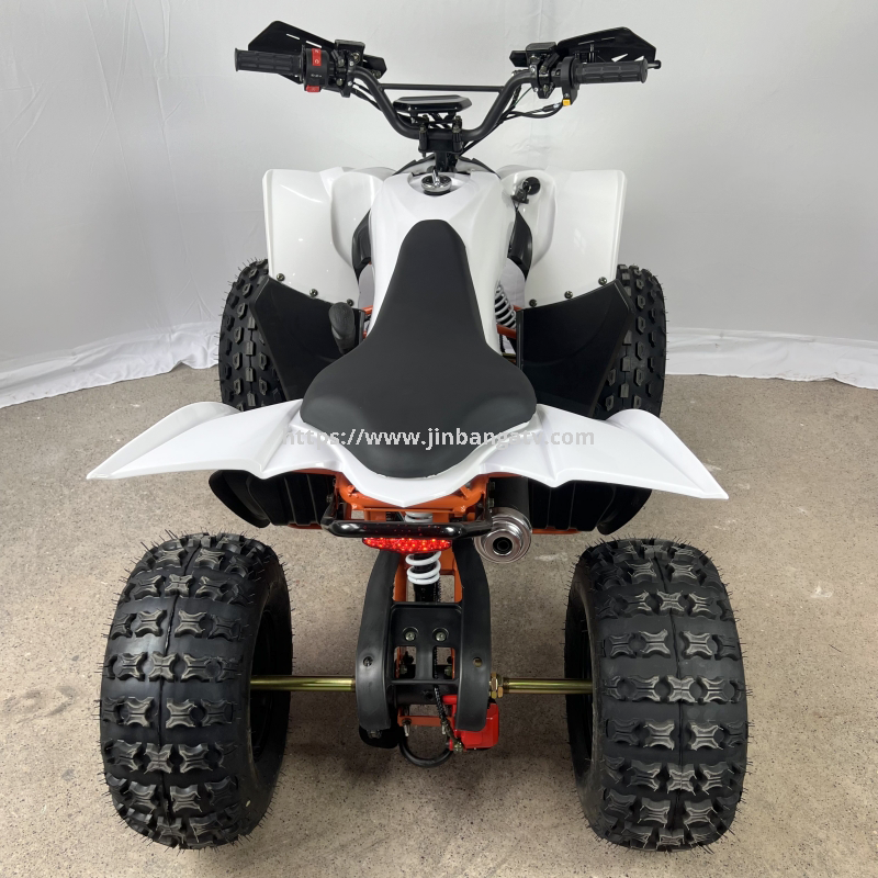 Electric ATV