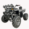 Electric ATV 