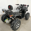 Electric ATV 