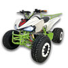Electric ATV 