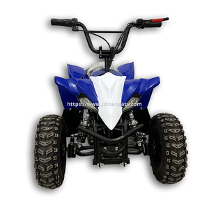 Electric ATV 