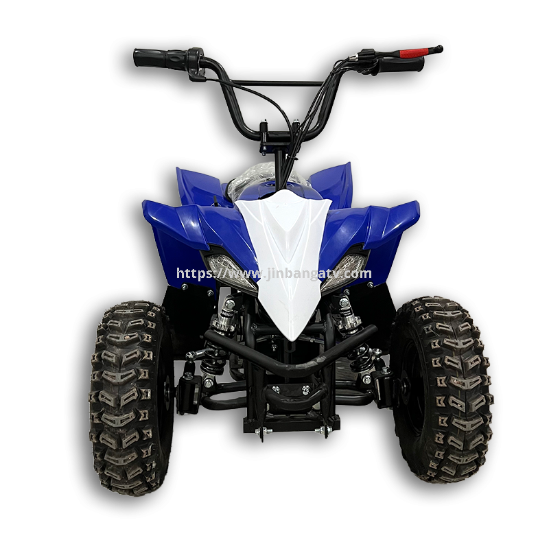 Electric ATV 