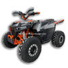 Electric ATV