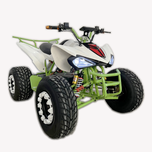 Electric ATV 