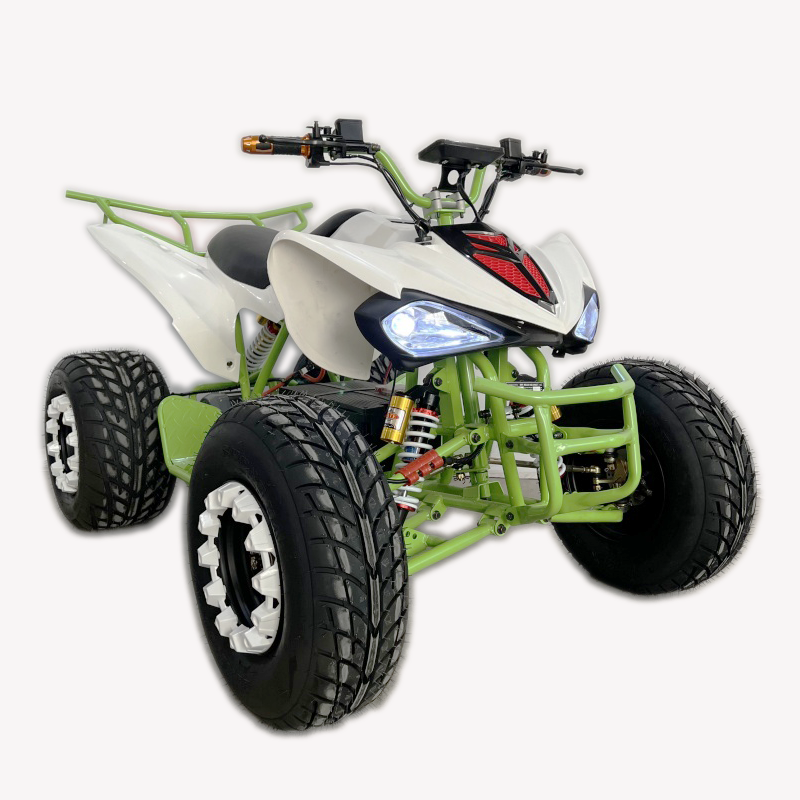 Electric ATV 