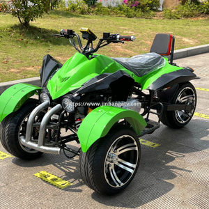 Electric ATV