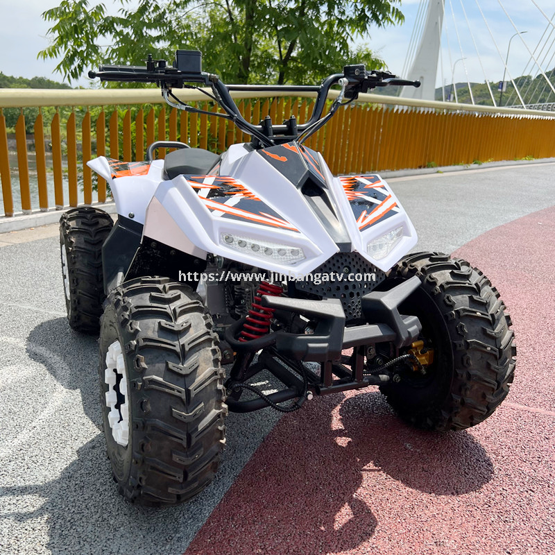 110CC ATV