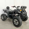 Electric ATV 