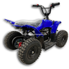 Electric ATV 