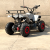 Electric ATV 