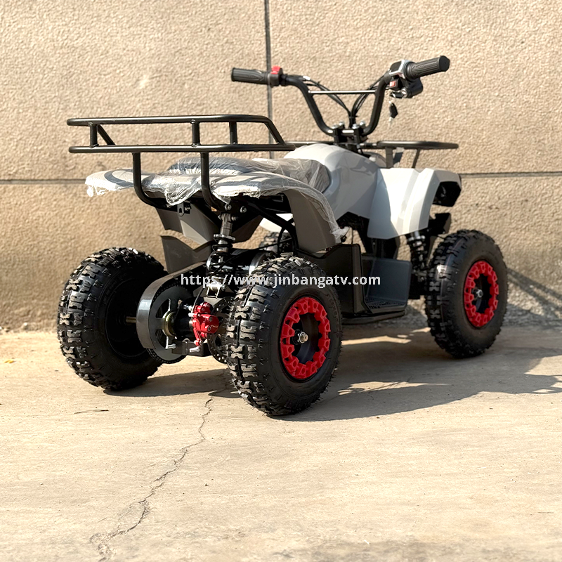 Electric ATV 