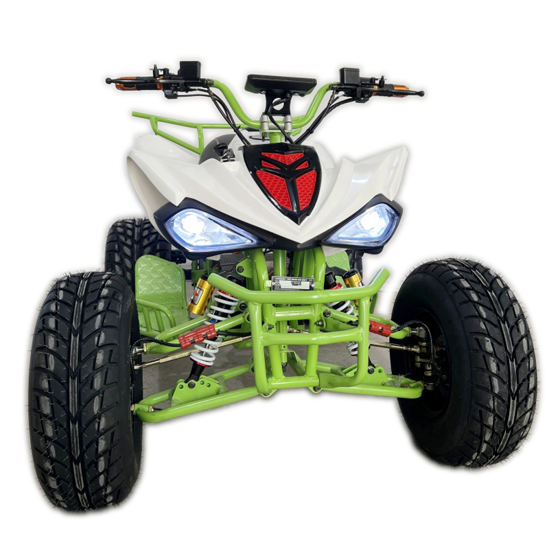 Electric ATV 