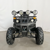 Electric ATV 