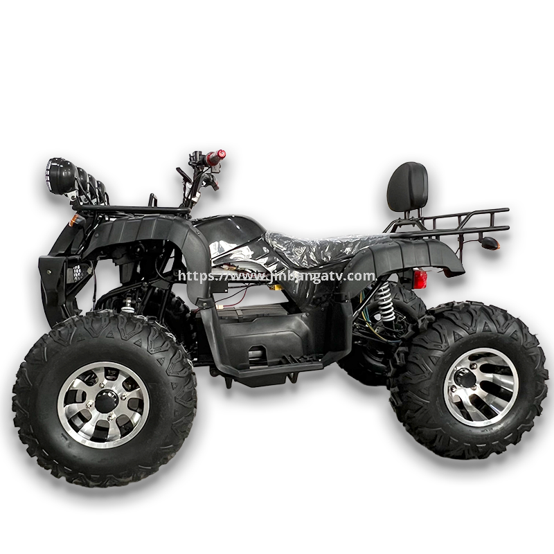 Electric ATV 