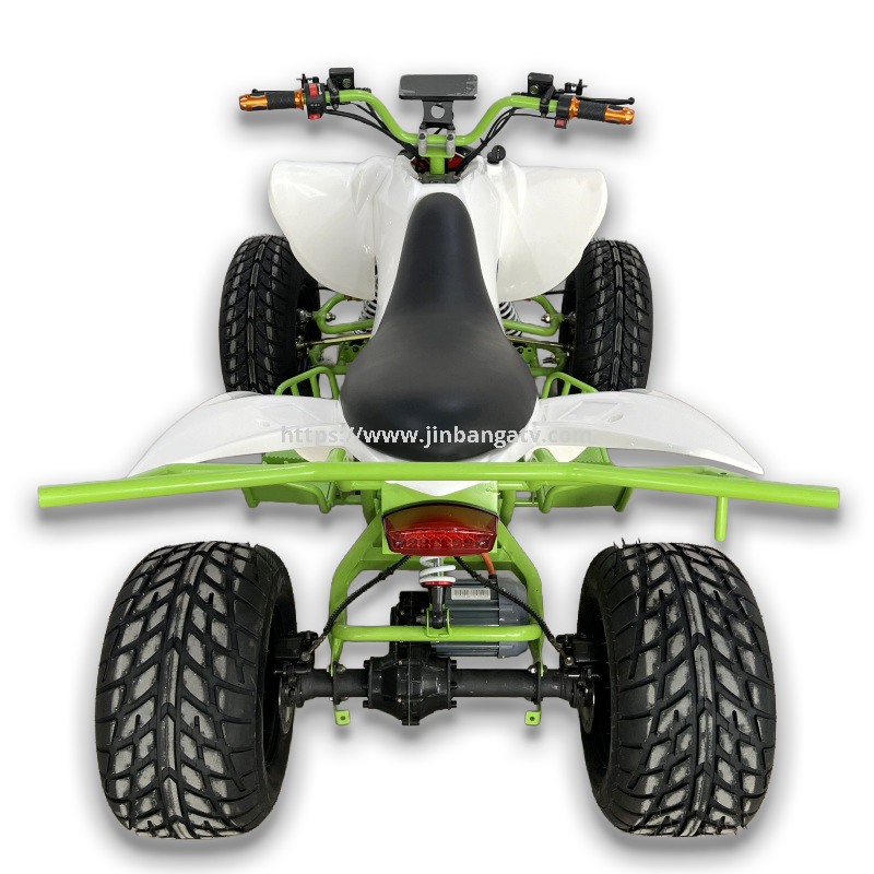 Electric ATV 