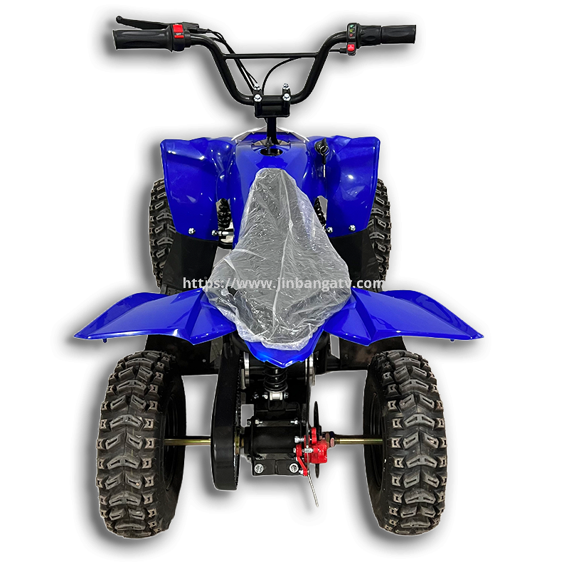 Electric ATV 