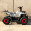 Electric ATV 