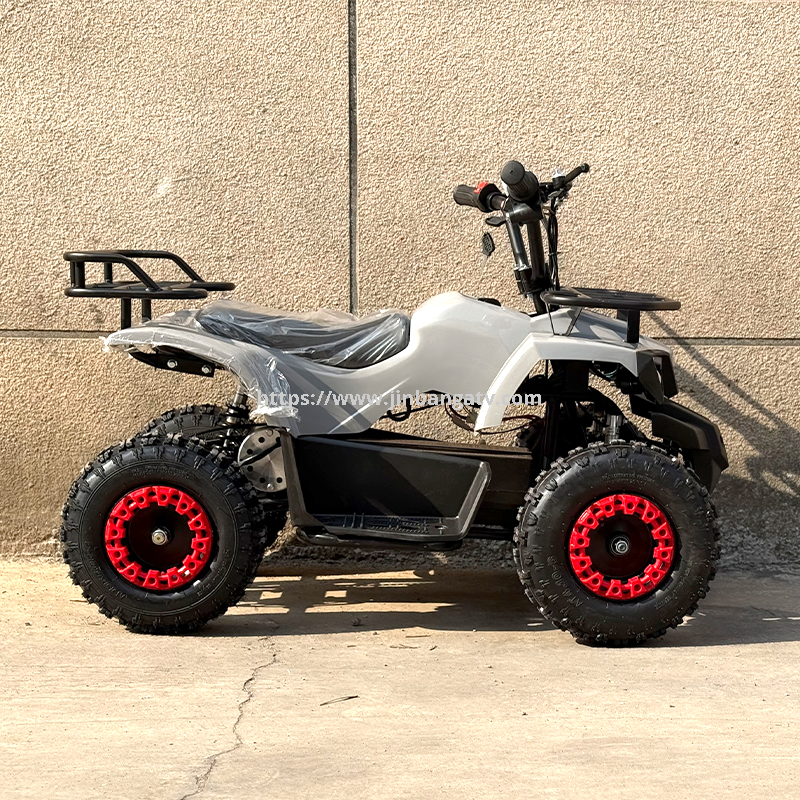 Electric ATV 
