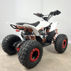 Electric ATV