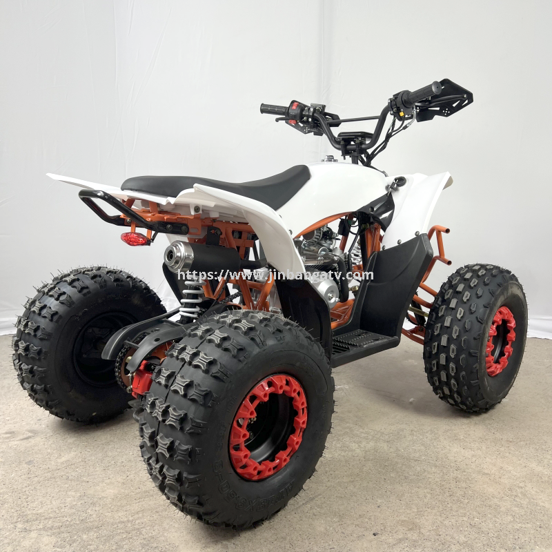 Electric ATV