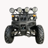 Electric ATV 