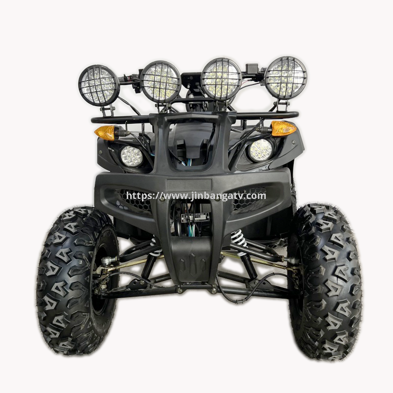 Electric ATV 