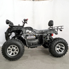 Electric ATV 