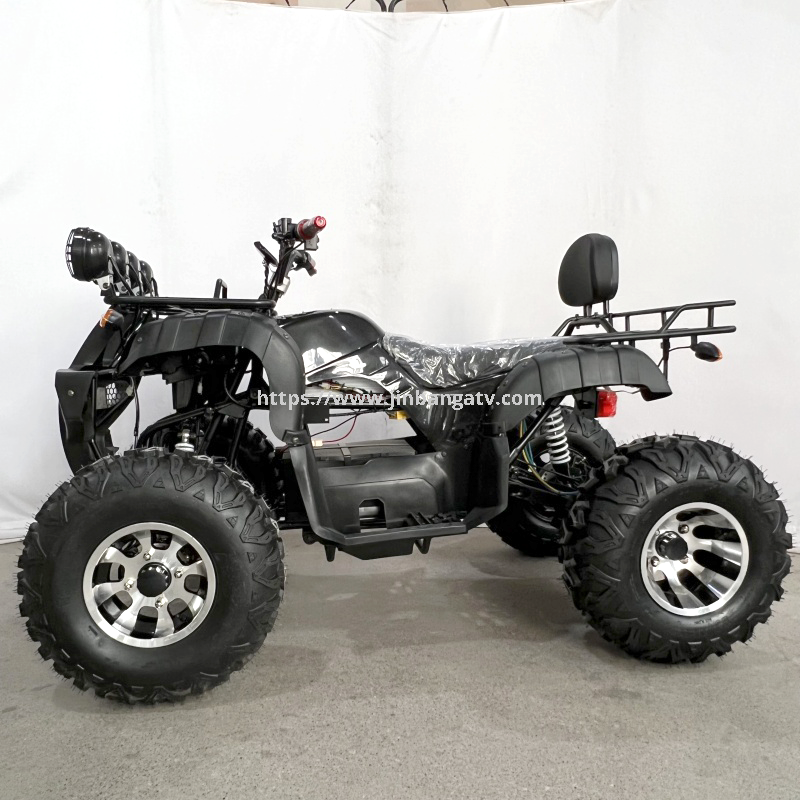 Electric ATV 