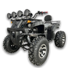 Electric ATV 