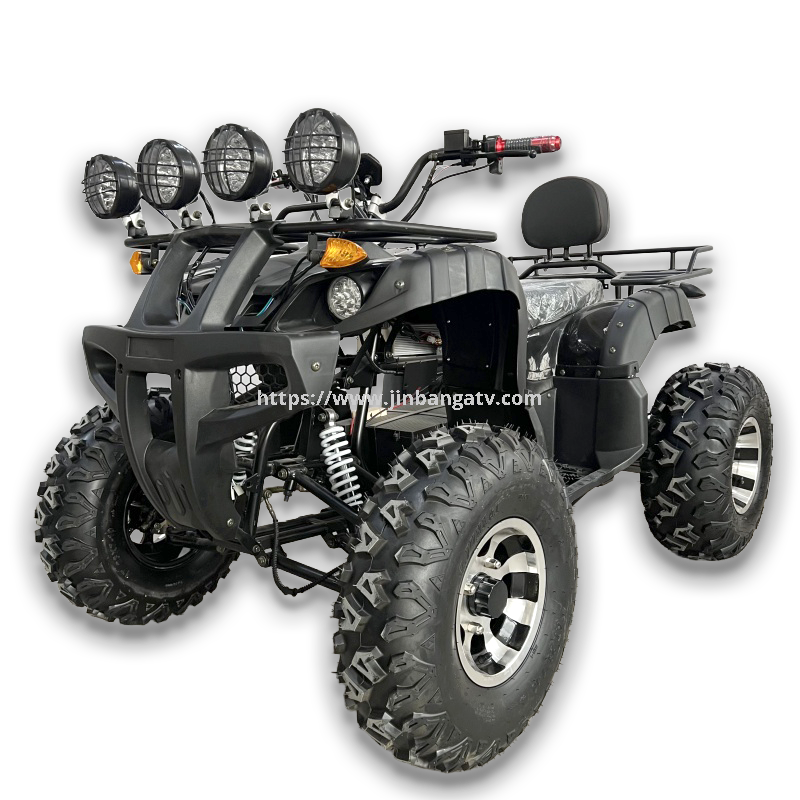 Electric ATV 