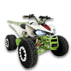 Electric ATV 