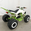 Electric ATV 