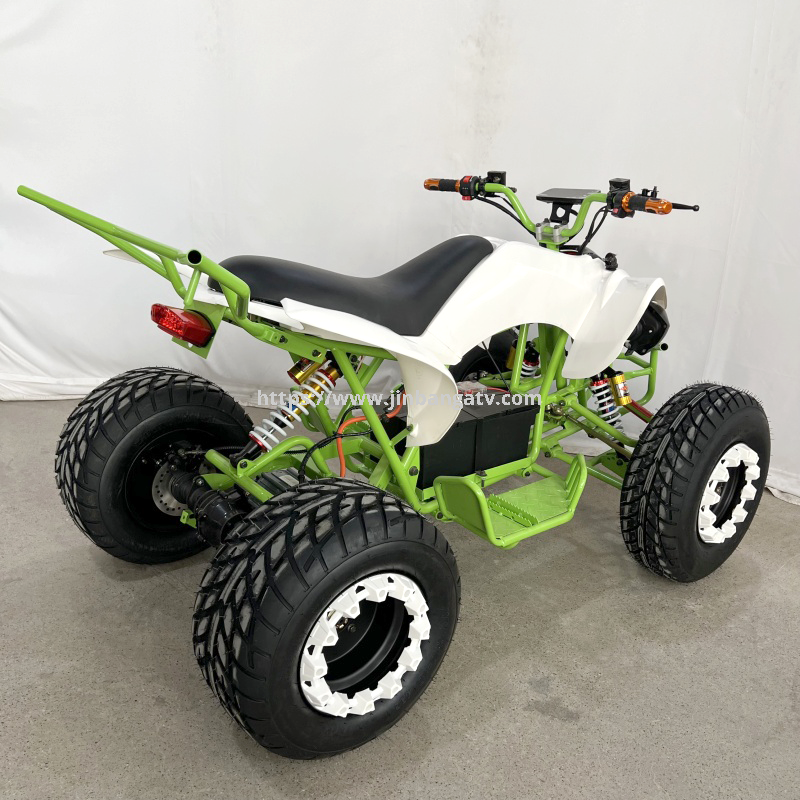 Electric ATV 