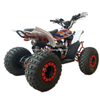 125CC ATV