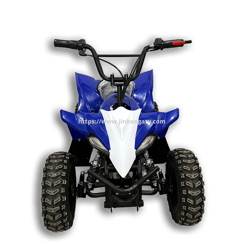 Electric ATV 