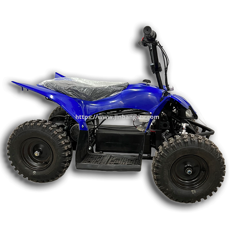 Electric ATV 
