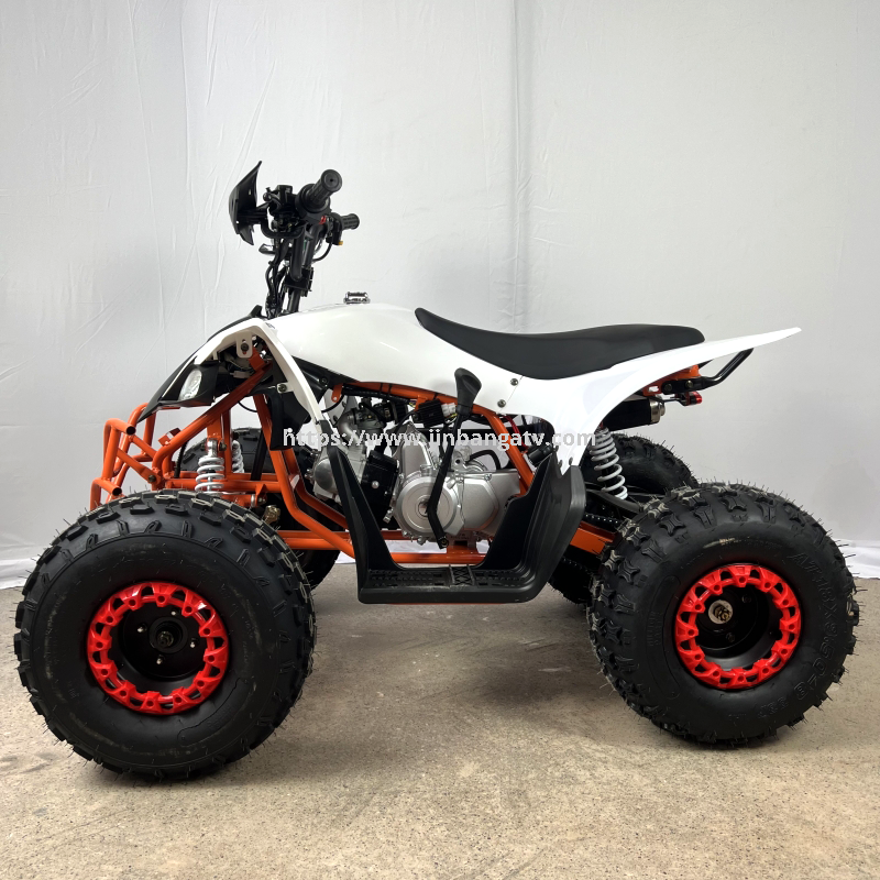 Electric ATV