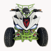 Electric ATV 