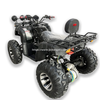 Electric ATV 