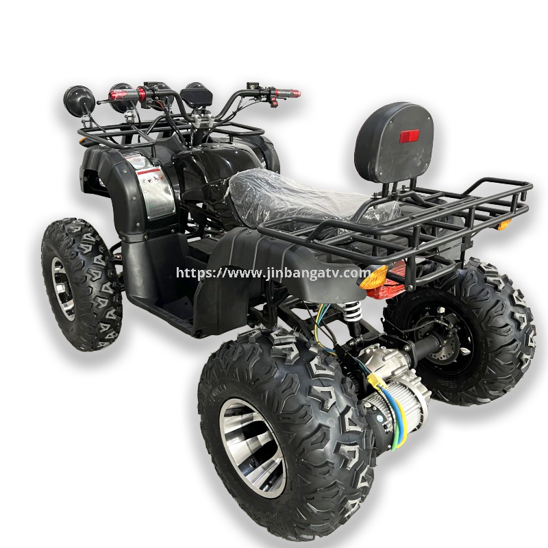 Electric ATV 